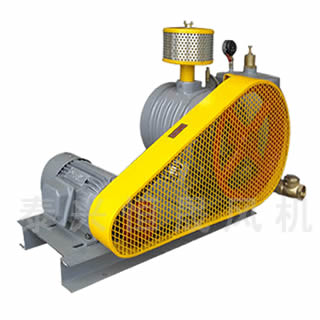 HC-501S水處理曝氣風(fēng)機(jī)主機(jī)的拼裝